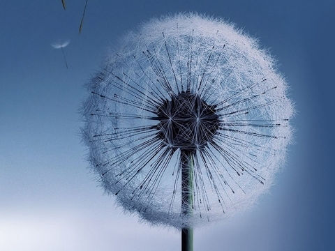 爱归里