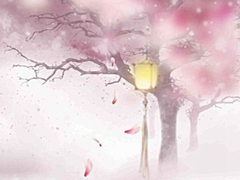 开花的心