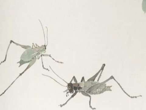 人到中年