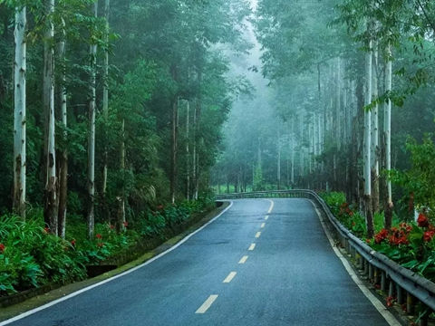 灰尘彼岸却无她