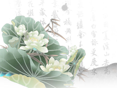 过河（周涛）