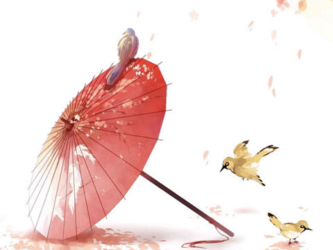 我不是归人，是个过客。