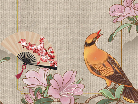我所看到的俄乌战争