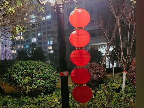 花瓣，在你的手上盛开为春天