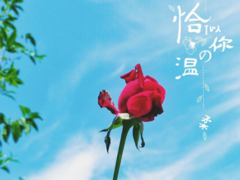 江湖九大门派遇到诗词
