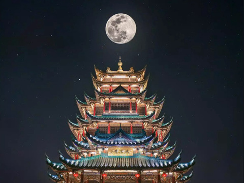 普京瓦尔代演讲全文：新的世界格局正在我们眼前形成