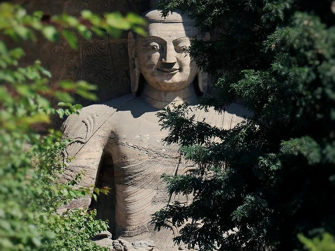 一棵树 三堂课
