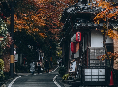 栀子花