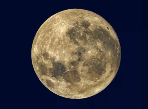 请允许我成为你的夏季（中英文） 狄金森