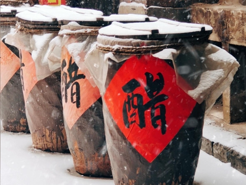 我什么都不带去看你