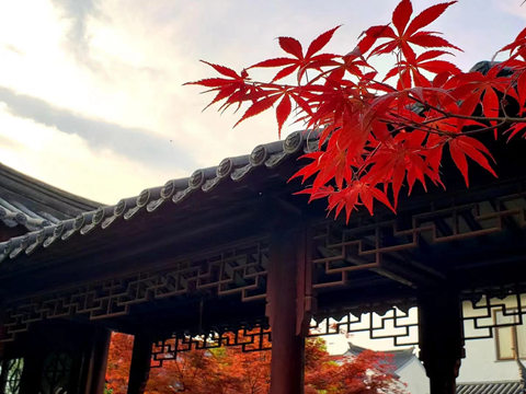 要一个黄昏