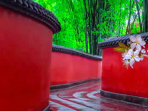 父亲的节日