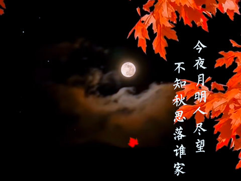 坚持党的领导的实践逻辑