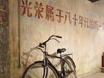栀子花