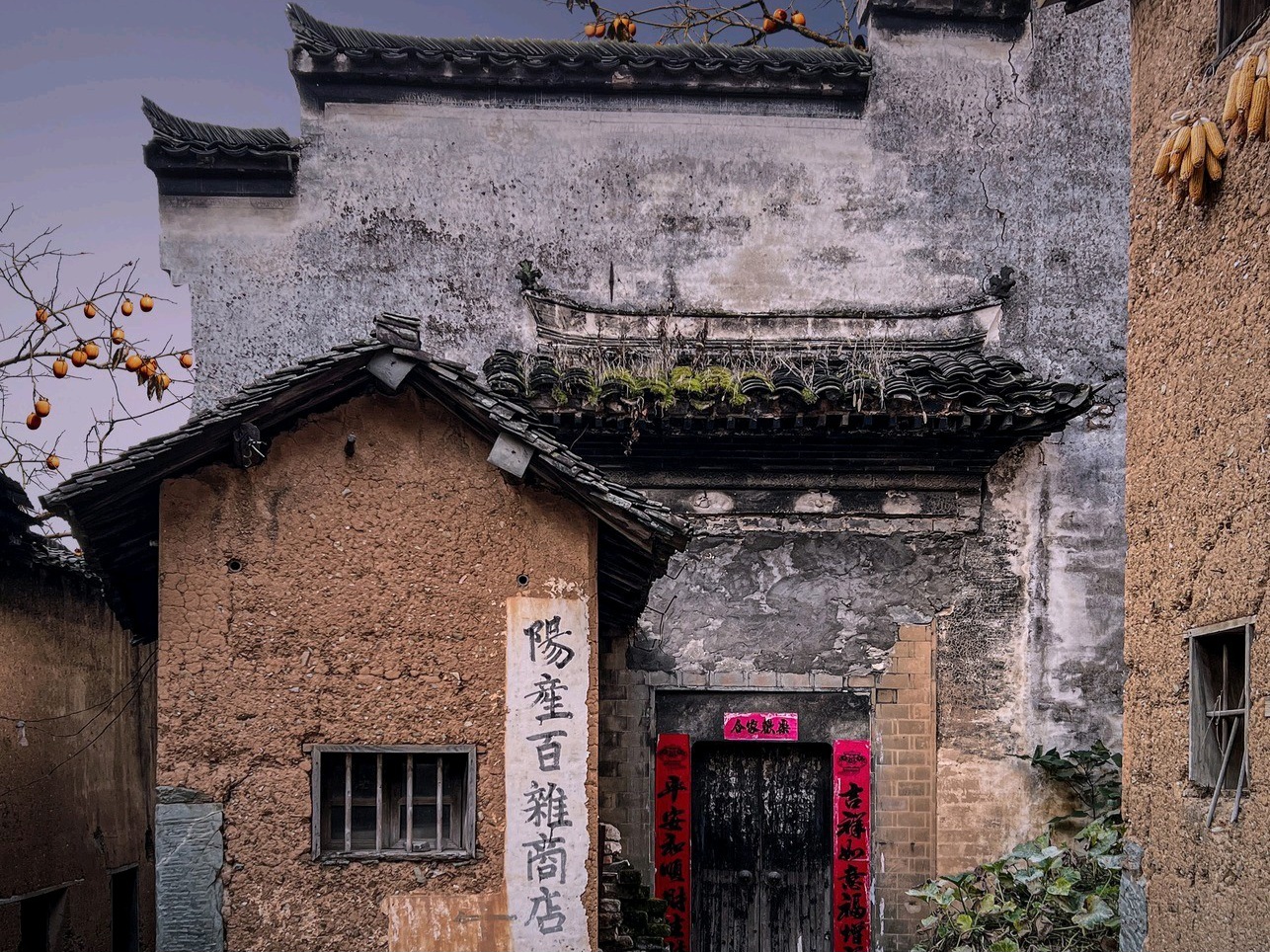 一个哲学研究生的演讲