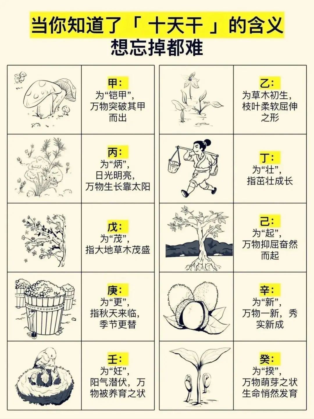 通俗地理解天干地支